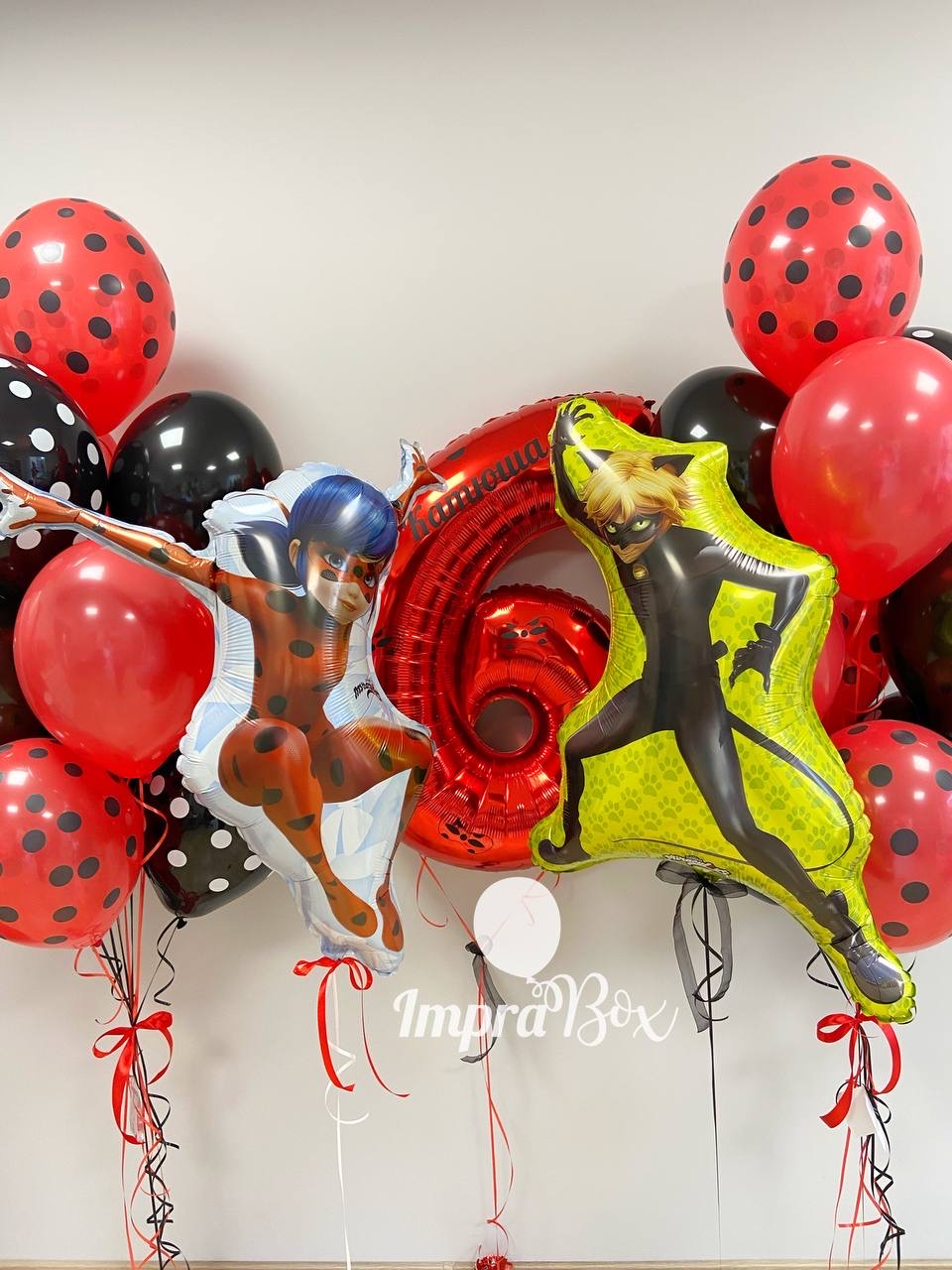 Biedronka_i_Czarny_Kot_XXL