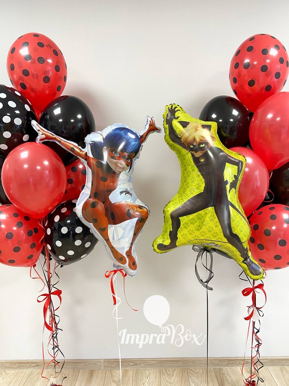 Biedronka_i_Czarny_Kot_XL