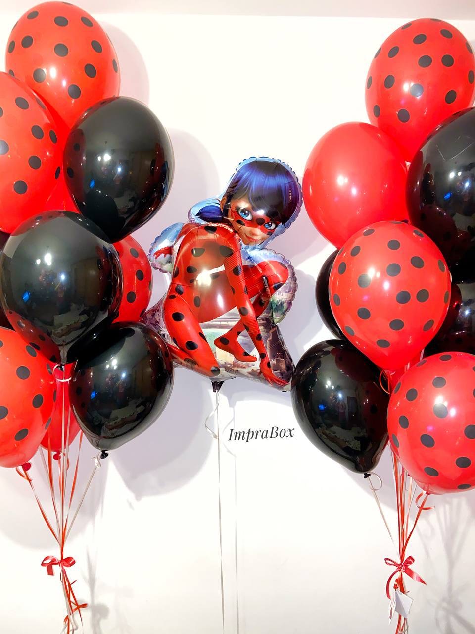 Biedronka_Miraculum_L