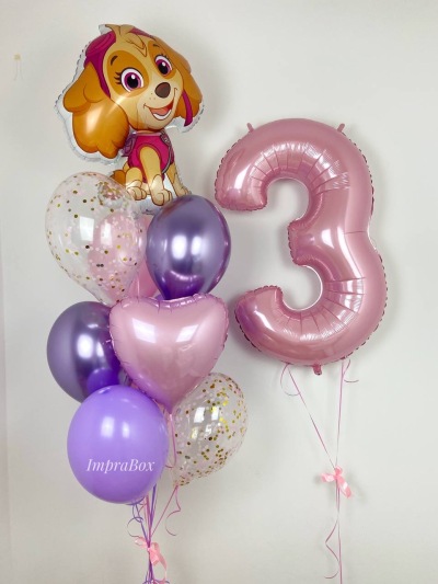 Zestaw SKY z cyferką Psi Patrol