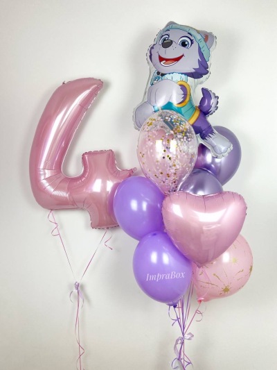 Zestaw EVEREST z cyferką Psi Patrol