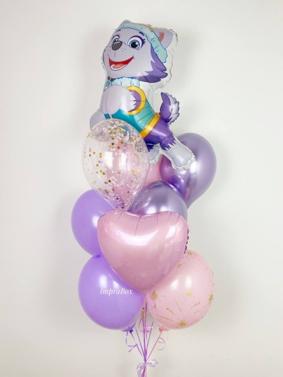 Zestaw EVEREST Psi Patrol